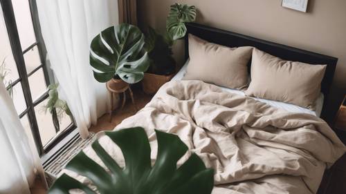 Uma foto aérea de um quarto simples e aconchegante, decorado com lençóis neutros e uma única planta monstera de interior.
