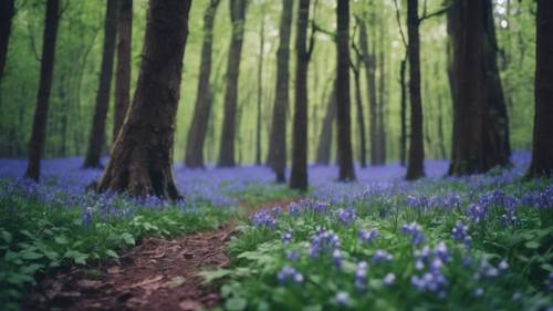 A forest floor covered in charming bluebells during a gentle spring rain.