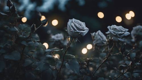 סצנת גן עם ורדים שחורים פורחים תחת אור ירח כסוף.