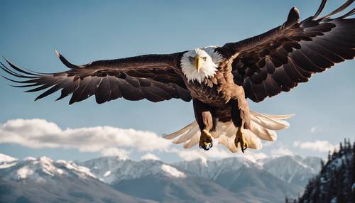 A majestic eagle soaring high against a stark blue sky, mountains in the backdrop.