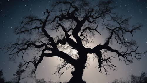 Silhouette of an old tree on a full moon night, aesthetic quotes formed by its branches.