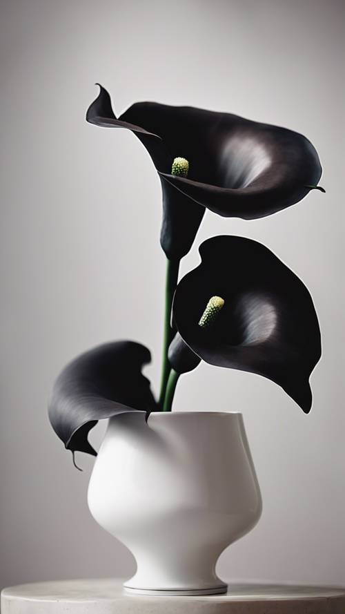 Bagian tengah menakjubkan yang menampilkan bunga calla lily hitam dalam vas putih modern.