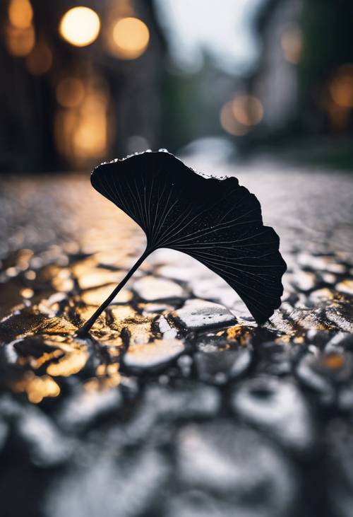 Ein schwarzes Ginkgoblatt liegt auf einem Kopfsteinpflasterweg, sanfter Regen erzeugt einen Wellenkranz darum.
