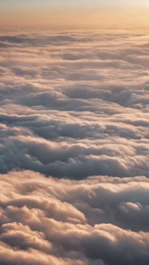 Ein Sonnenaufgang am frühen Morgen, der eine weite Fläche dünner Zirruswolken in großer Höhe erhellt.