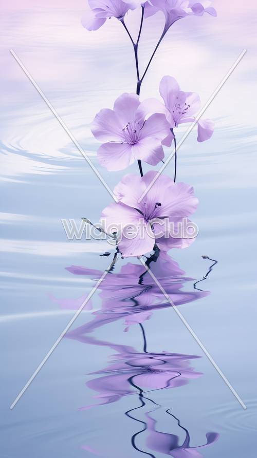 زهور أرجوانية تنعكس في الماء