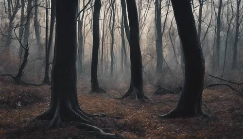 A haunting forest landscape with black trees and undergrowth.