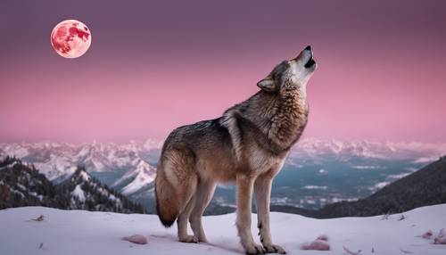 Um lobo solitário uivando em direção a uma lua rosa contra um cenário dramático de montanha.