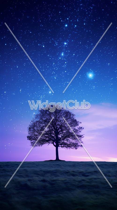 夕暮れ時の星空とシルエットの木　