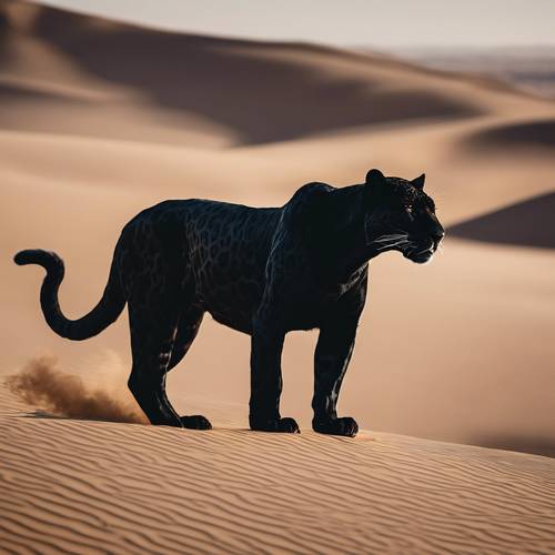 Sylwetka czarnego jaguara na tle odległego pustynnego krajobrazu.