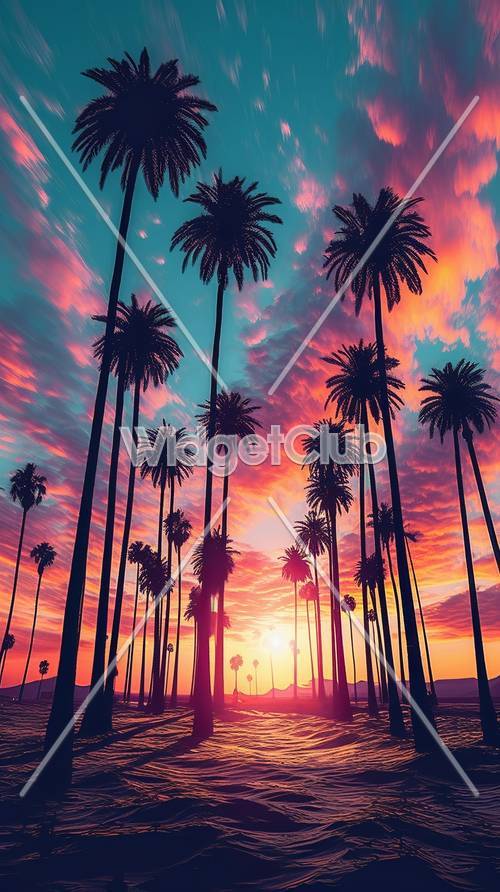 Kolorowe niebo o zachodzie słońca na tle palm