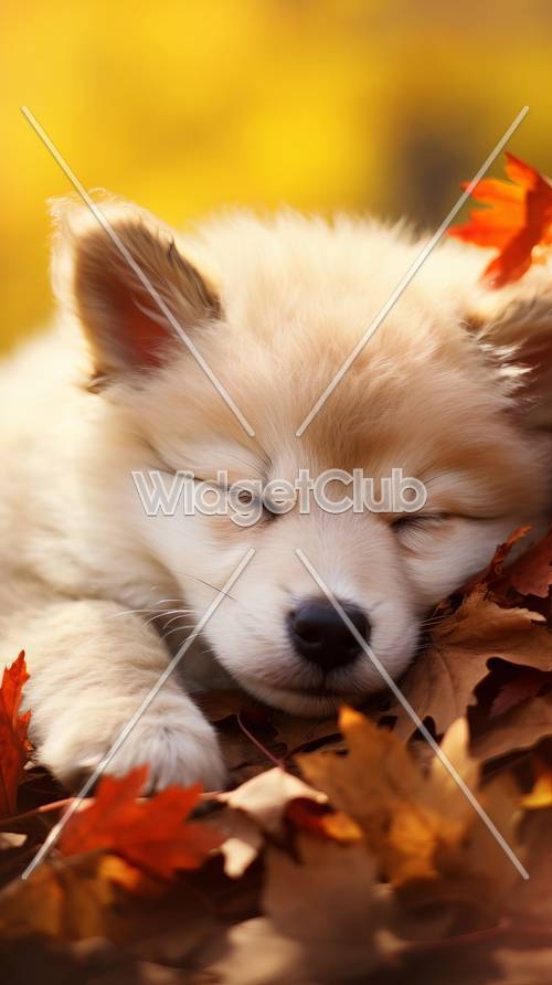 Śliczny śpiący szczeniak w jesiennych liściach