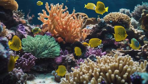 Un arrecife de coral saludable habitado por un grupo diverso de peces tropicales.