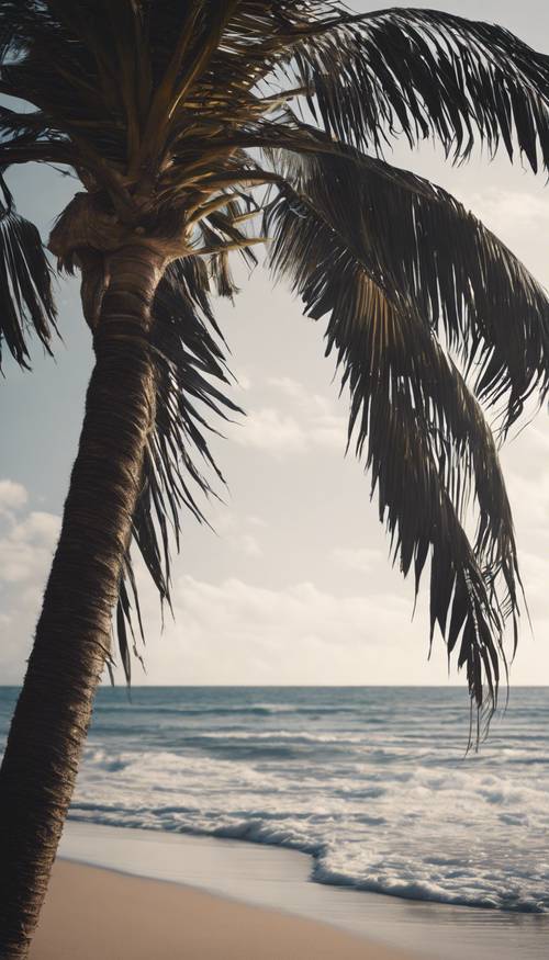 A tranquil scene of a black palm tree standing stoically as the ocean waves crash near its base.