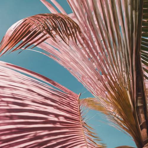Naturalny łuk utworzony przez dwa ogromne różowe liście palmowe.