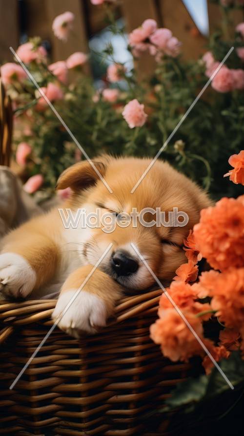 Спящий щенок в корзине с цветами