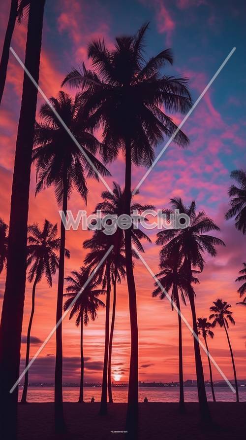 Tropikalny zachód słońca z palmami