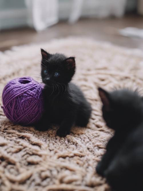 Những chú mèo con màu đen đang chơi với quả bóng sợi màu tím trên tấm thảm ấm cúng.