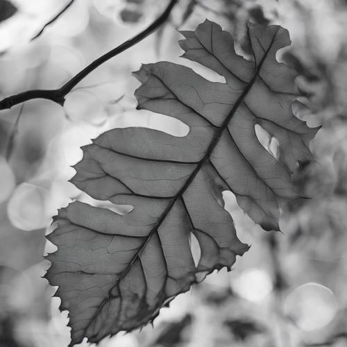 Artystyczna kompozycja szarego liścia z intrygującymi cieniami.