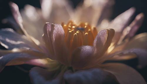 תמונה ערטילאית של פרח קוקוט זוהר ברכות בחושך.