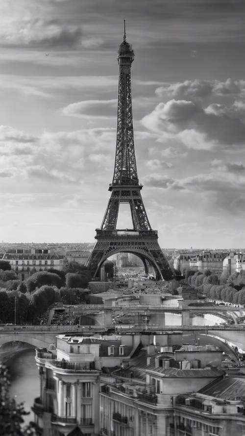 パリの街をバックにたたずむエッフェル塔のモノクロ写真　