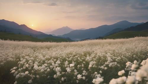 Um cenário pitoresco de um campo floral creme com cenários montanhosos durante o crepúsculo.