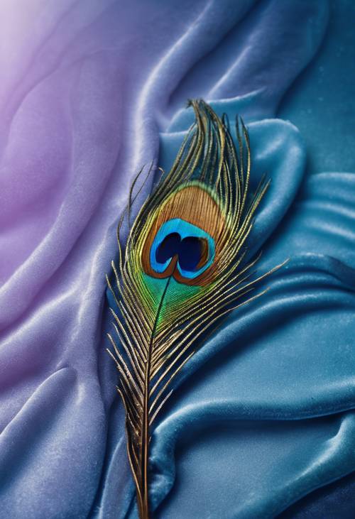 Una única pluma de pavo real sobre un fondo de suntuoso terciopelo azul.