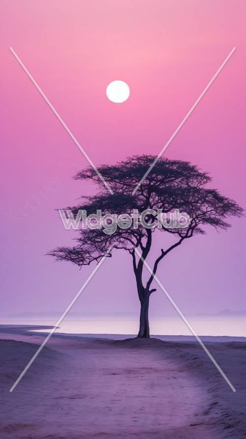 美しいピンク色の夕日と木のシルエット