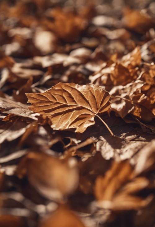 An autumn scene of brown leaves blown by the wind into a shape that resembles a joyful face.