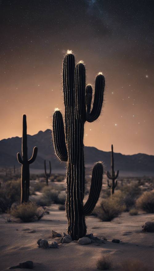 一棵神秘的黑色仙人掌，孤独地矗立在繁星点点的夜空下的干燥沙漠中。