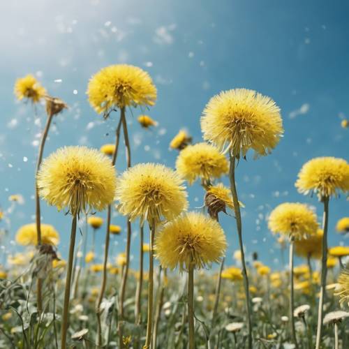 Modernist art of a sea of dandelions under a clear blue sky.