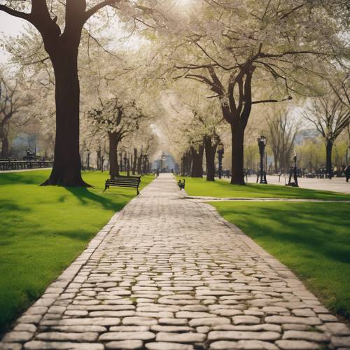 A city park in springtime featuring a green lawn, blooming trees, wooden benches, and beige cobblestone paths.