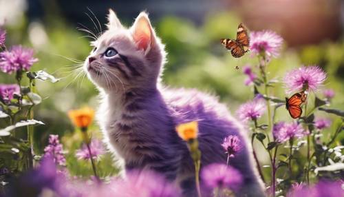 A playful purple kitten hunting a colourful butterfly in a sunlit garden.