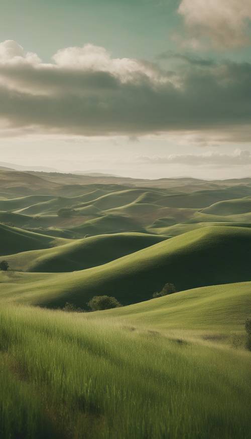 A view of rolling hills transitioning from the deep, earthy tones of green to a lighter, softer sage towards the top.