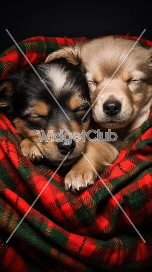 Уютные щенки, обнявшиеся в одеяле