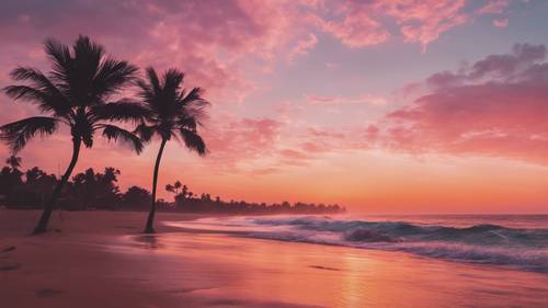 강렬한 오렌지색과 핑크색 색조를 배경으로 야자수 실루엣이 그려져 있는 새벽의 미학적으로 아름다운 해변 풍경입니다.