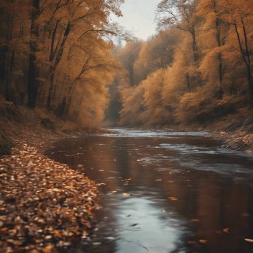 一条平静的河流蜿蜒流过茂密的秋季森林。