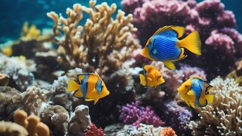مشهد صاخب تحت الماء حيث تتنقل الأسماك الاستوائية المتنوعة عبر الشعاب المرجانية الملونة.