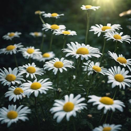 A cluster of white daisies with flickering green fireflies illuminating a dark forest.