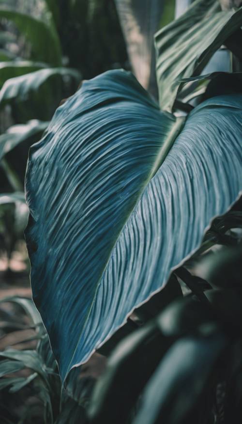 Una rica hoja de plátano azul sobre un suave fondo de plantas tropicales.