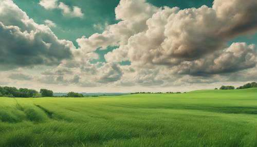Flaumige beige Wolken malen eine malerische Kulisse vor einem Meer aus grünen Feldern.