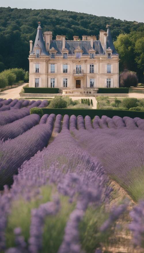 A luxury French chateau nestled in a lavender field during summer. Tapeta [4ce9ef15b5a94dada868]