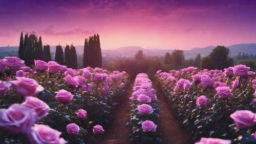 Eine Landschaft mit einem Rosengarten im Morgengrauen, mit Rosen in verschiedenen Lilatönen, die über das Bild verteilt sind.