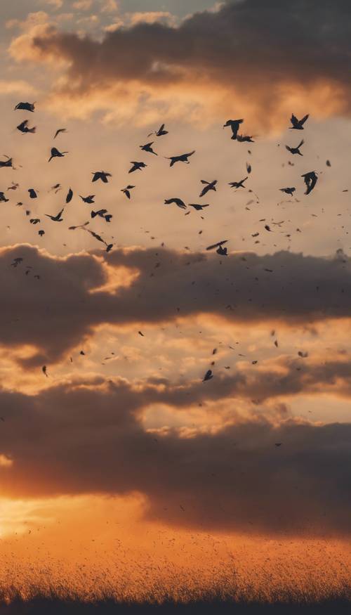 Um bando de pássaros decolando de uma pradaria, deixando rastros de penas e poeira no pôr do sol laranja.