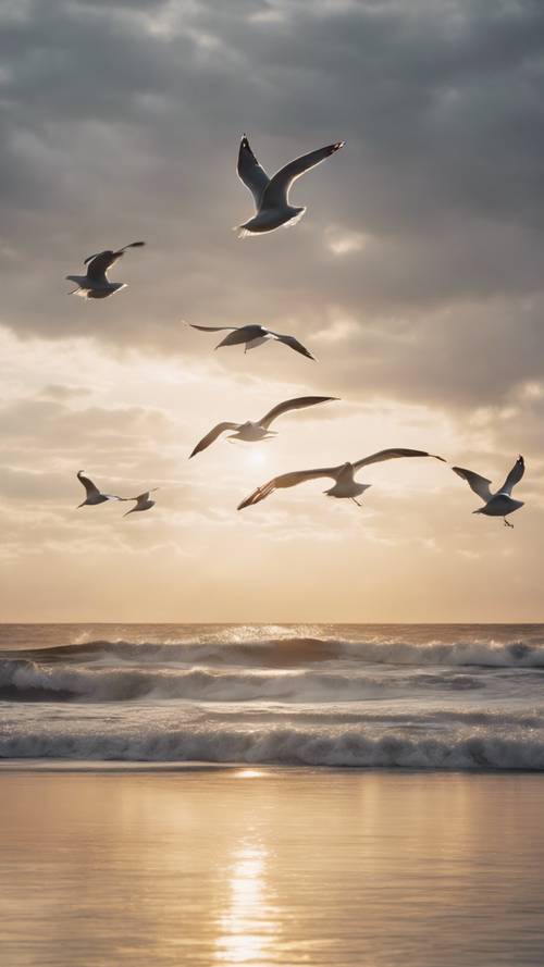 A flock of light gray seagulls soaring over a moody, coastal horizon during sunset.