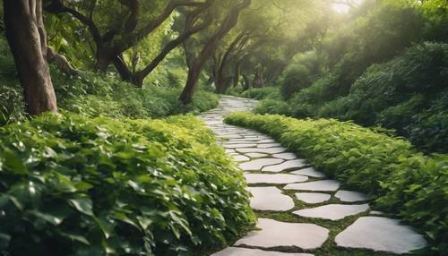 一條白色的石頭小路蜿蜒穿過鬱鬱蔥蔥的綠色植物。