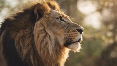 Une rencontre face à face avec un lion rugissant, la beauté terrifiante du moment complétée par la phrase « Vous êtes plus courageux que vous ne le croyez, plus fort que vous ne le semblez et plus intelligent que vous ne le pensez. »