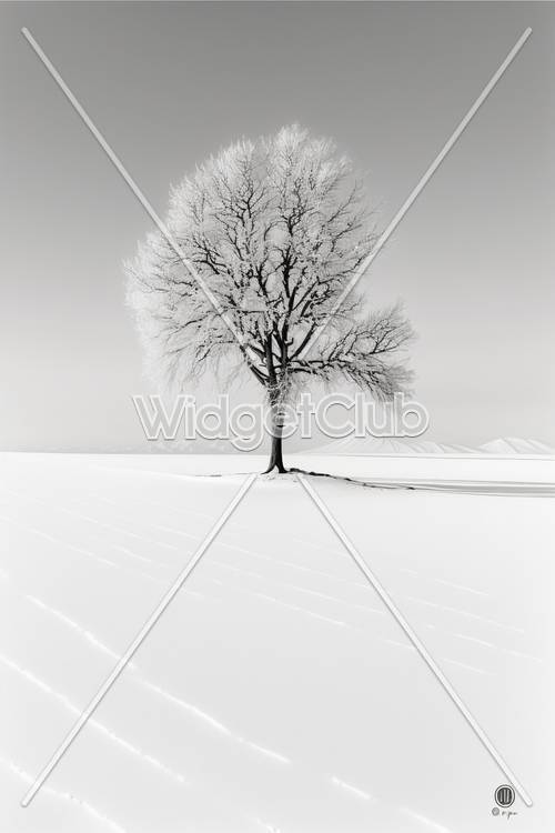 冬の木と雪の積もった畑　