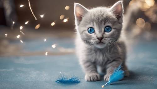 キラキラ青い目の薄いグレーの子猫が羽のおもちゃで遊んでいる壁紙