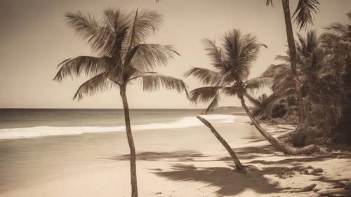 Imagem retrô em tons sépia de uma praia tropical