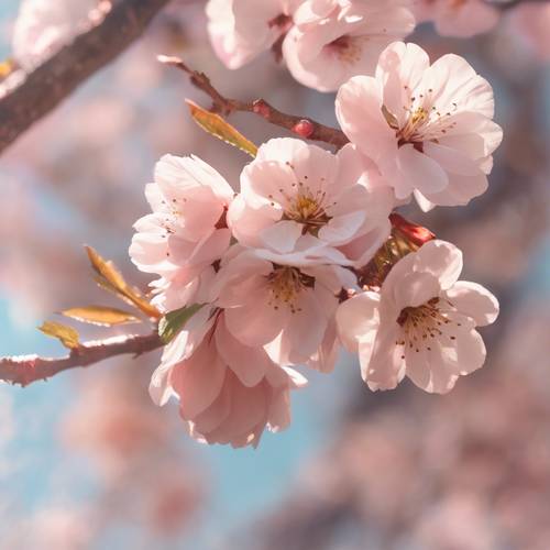 Suave dibujo en colores pastel de un melocotón prístino disfrutando del sol de la tarde enclavado en medio de flores de cerezo en flor.